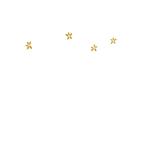Logotipo Tasaigo Espacio Creativo en Tenerife, Icod de los Vinos